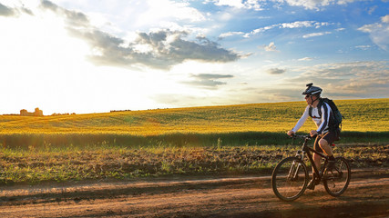 Fototapeta premium cyclist on bike rides along the fields of wheat in the sunlight.