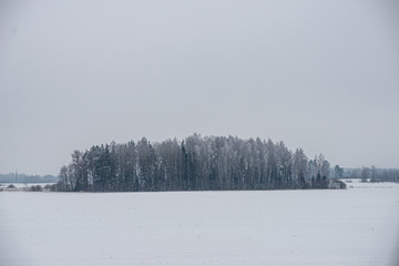 pieces of frozen ice in the lake in dim winter day