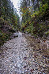 wet damp hiking tourist trail with snow leftovers on the sides