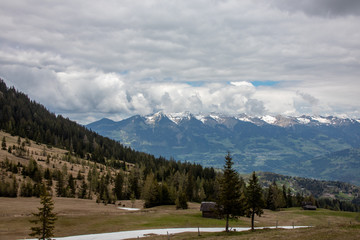 Panorama of an alpine landscape with high mountains, green meadows and trees in spring with snow in Austrian Alps
