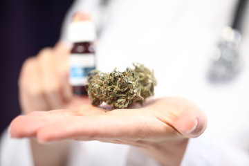 doctor hand hold and offer to patient medical marijuana and oil. Cannabis recipe for personal use,...