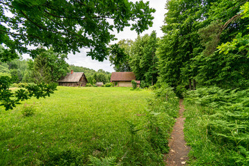 Fototapeta na wymiar sunny countryside garden with green meadow and greenhouse