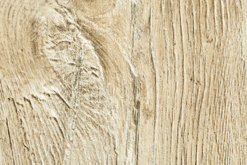 Oak texture close-up shot, abstract texture