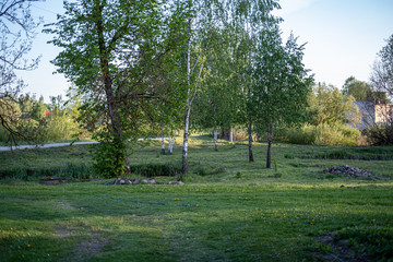 Obraz premium sunny countryside garden with green meadow and greenhouse