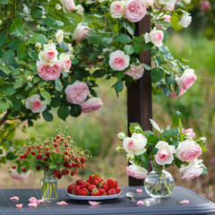 A beautiful garden with blooming roses, tasty wild strawberries and a chair.