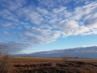 Fototapeta na wymiar Distant storm clouds approaching puts an end to a beautiful sunny morning on the prairies 