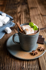 Hot chocolate with marshmallows, sprinkled with cinnamon