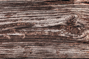 old wood texture closeup