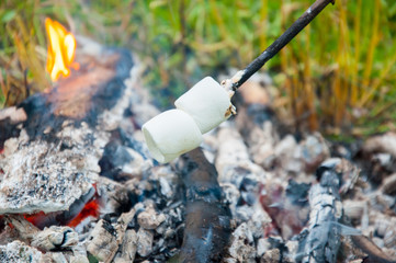 Fototapeta premium Marshmallow fried on a fire. On a stick. In the summer on vacation. White and toasted