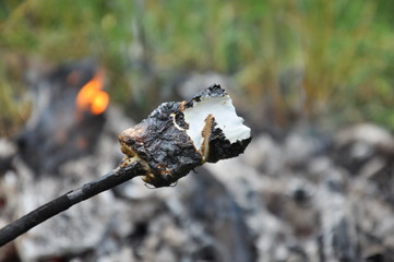 Marshmallow fried on a fire. On a stick. In the summer on vacation. White and toasted