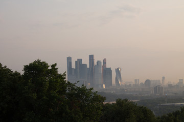 Panorama of Moscow Russia in the summer at dawn