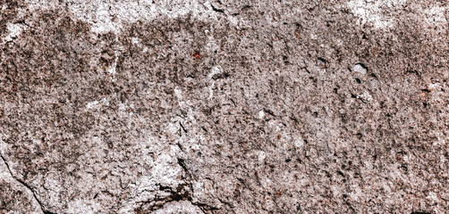 concrete texture closeup