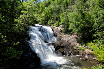 waterfall in forest