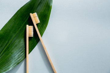 Bamboo wooden toothbrushes on pastel
