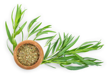 tarragon or estragon fresh and dried isolated on a white background with copy space for your text. Top view. Flat lay