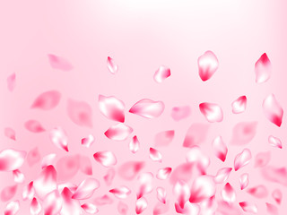 Spring tree flowers parts, airy flying petals