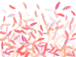 Fluffy twirled feathers on white design.