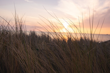Obraz na płótnie Canvas sun setting with beach grass