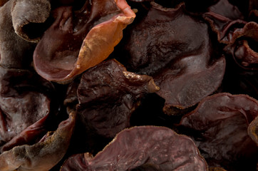 生きくらげ アップ