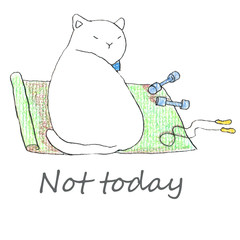 Fat funny white cat sitting on the green yoga matl. Hand drawn illustration by color pencils and ink.