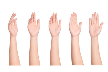 Set of  woman  hands isolated on white background