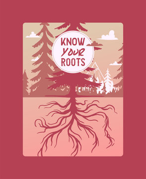 Know Your Roots. Forest Pine Tree Card Vector Evergreen Natural Silhouette Company Poster. Forest Treetop Nature Wood Background. Vintage Hand Drawing Natural Wild Plant Park.