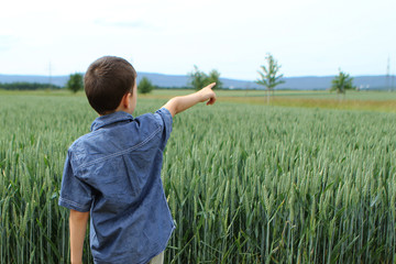 Naklejka na ściany i meble boy in a denim shirt and shorts stands at the edge of a green field with a rich harvest of wheat in the ears ripening in the fields, shows his right hand to distant mountains, close up