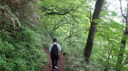 山道を歩く老人