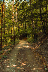 mystirious path in the forest, landscape in bulgaria