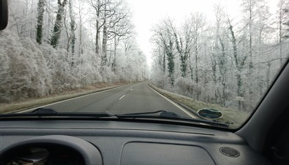On the way in winter