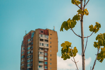 Fototapete bei efototapeten.de bestellen   