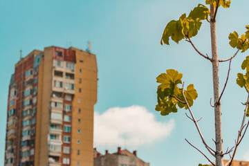 Fototapete bei efototapeten.de bestellen   