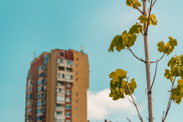 Fototapete bei efototapeten.de bestellen   