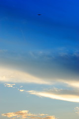 綺麗な青空と空に飛んでいる飛行機の姿