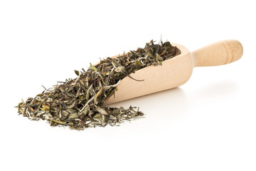 Dried, raw white tea leaves in wooden scoop over white background