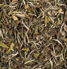 Macro texture background of dried, raw white tea leaves frame filling flat lay from above