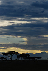 Sunset over the plains of Africa