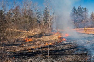 Controlled Burn in a Native Prairie