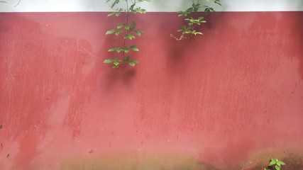 Obraz premium Chinese old red background