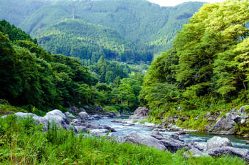 夏の奥多摩の渓谷の風景