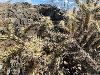 Arizona Desert Hiking