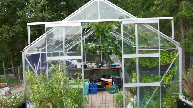 Walking in to a greenhouse