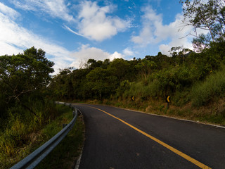 Fototapeta premium Curve on the road, green foliage and blue sky