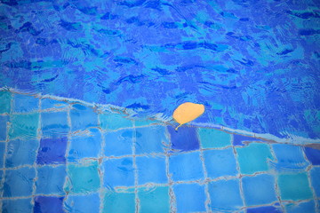 shallow wadding pool water in swimming pool. pool design with small ceramic tiles. repeating dark deep blue tiles dotted lighter shade of blue floor tiles. deeper level in the background.