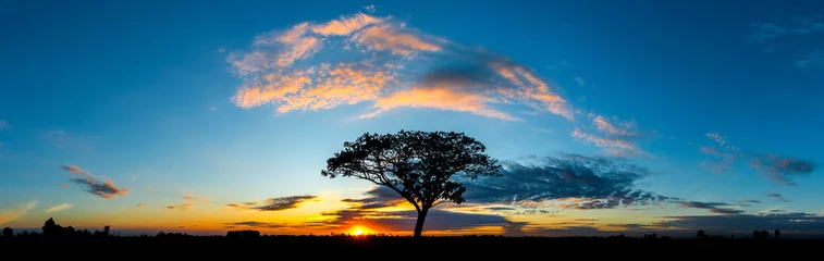 Fotobehang Afrika Panorama silhouet boom in Afrika met zonsondergang. Boom aftekenen tegen een ondergaande zon.  © noon@photo
