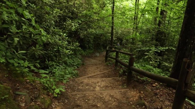 Nature Hike at Natural Bridge State Park, Kentucky