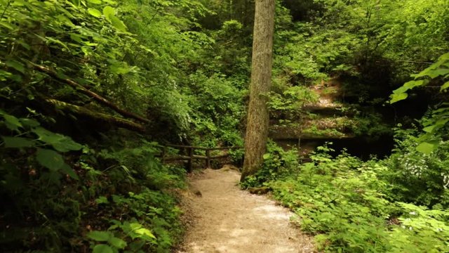 Nature Hike at Natural Bridge State Park, Kentucky