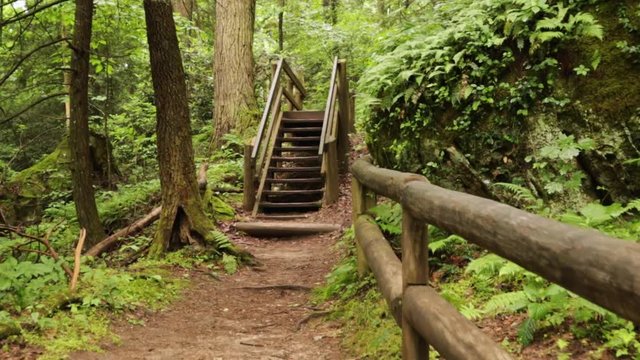 Nature Hike at Natural Bridge State Park, Kentucky