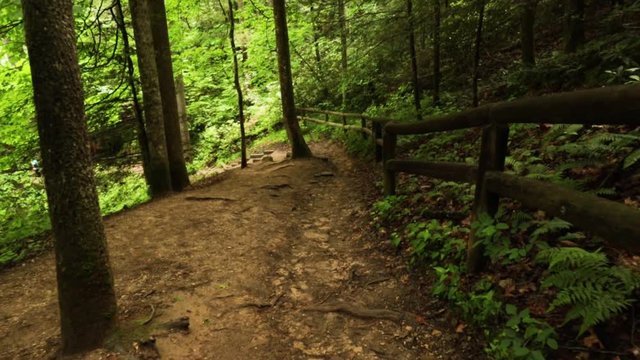 Nature Hike at Natural Bridge State Park, Kentucky
