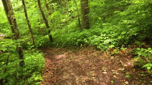 Nature Hike at Natural Bridge State Park, Kentucky